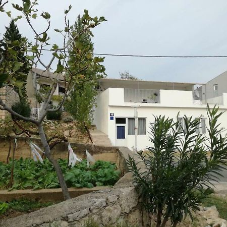 House Zara Villa Maslenica Eksteriør bilde