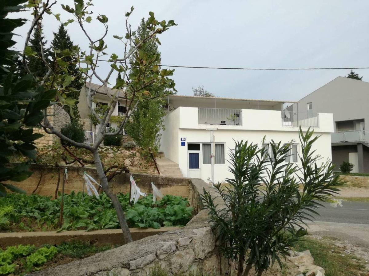 House Zara Villa Maslenica Eksteriør bilde
